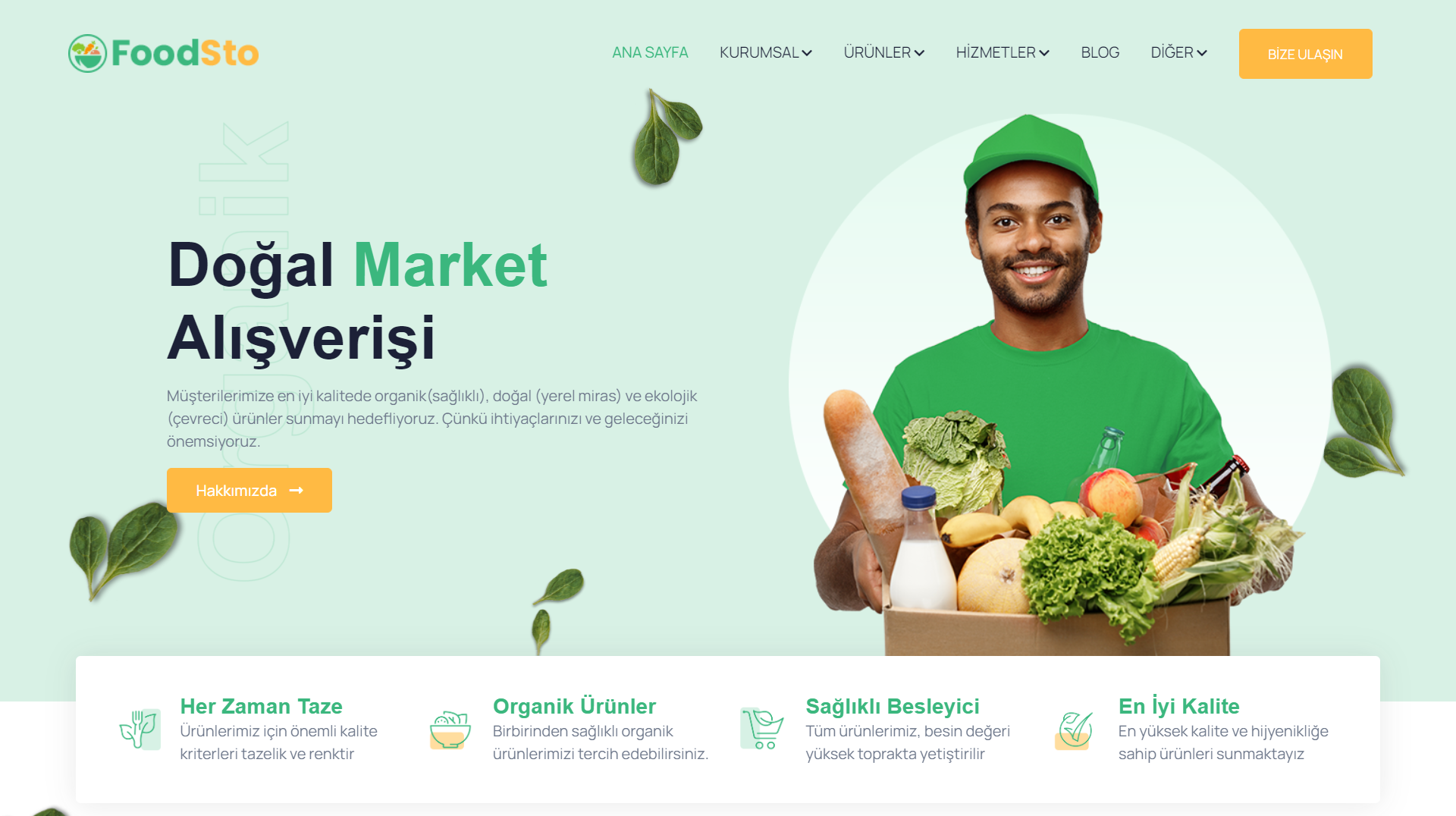 Organik ürün web tasarım